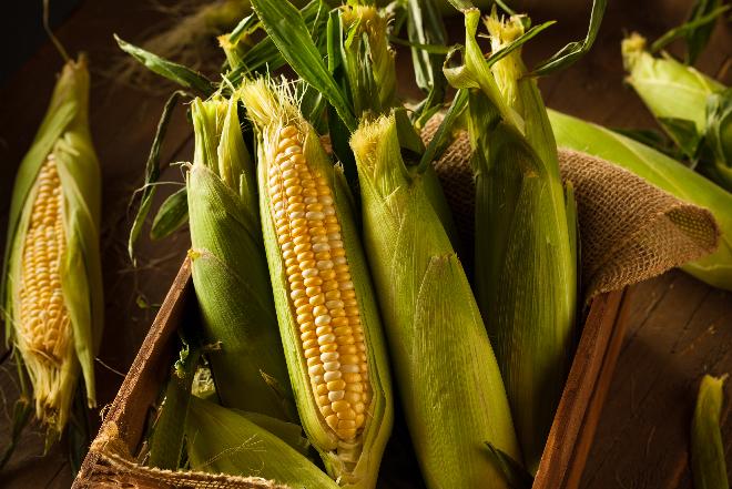 Kukurydza: właściwości i wartość odżywcza zboża bez glutenu